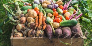 Catholic prayer that God will bless and protect the harvest