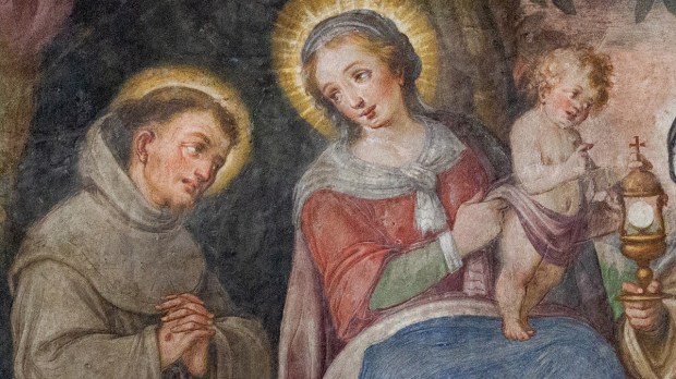 Francis of Assisi AND MARY
