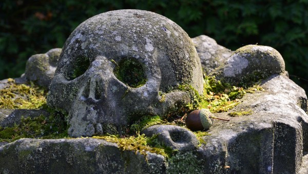 SKULL AND CROSSBONES