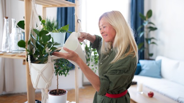 WATERING PLANTS