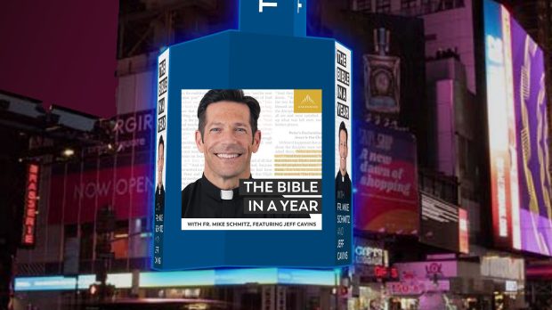 BIBLE IN A YEAR; FR Mike Schmitz
