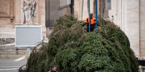 2021 Christmas tree arrives to St. Peter’s (Images)