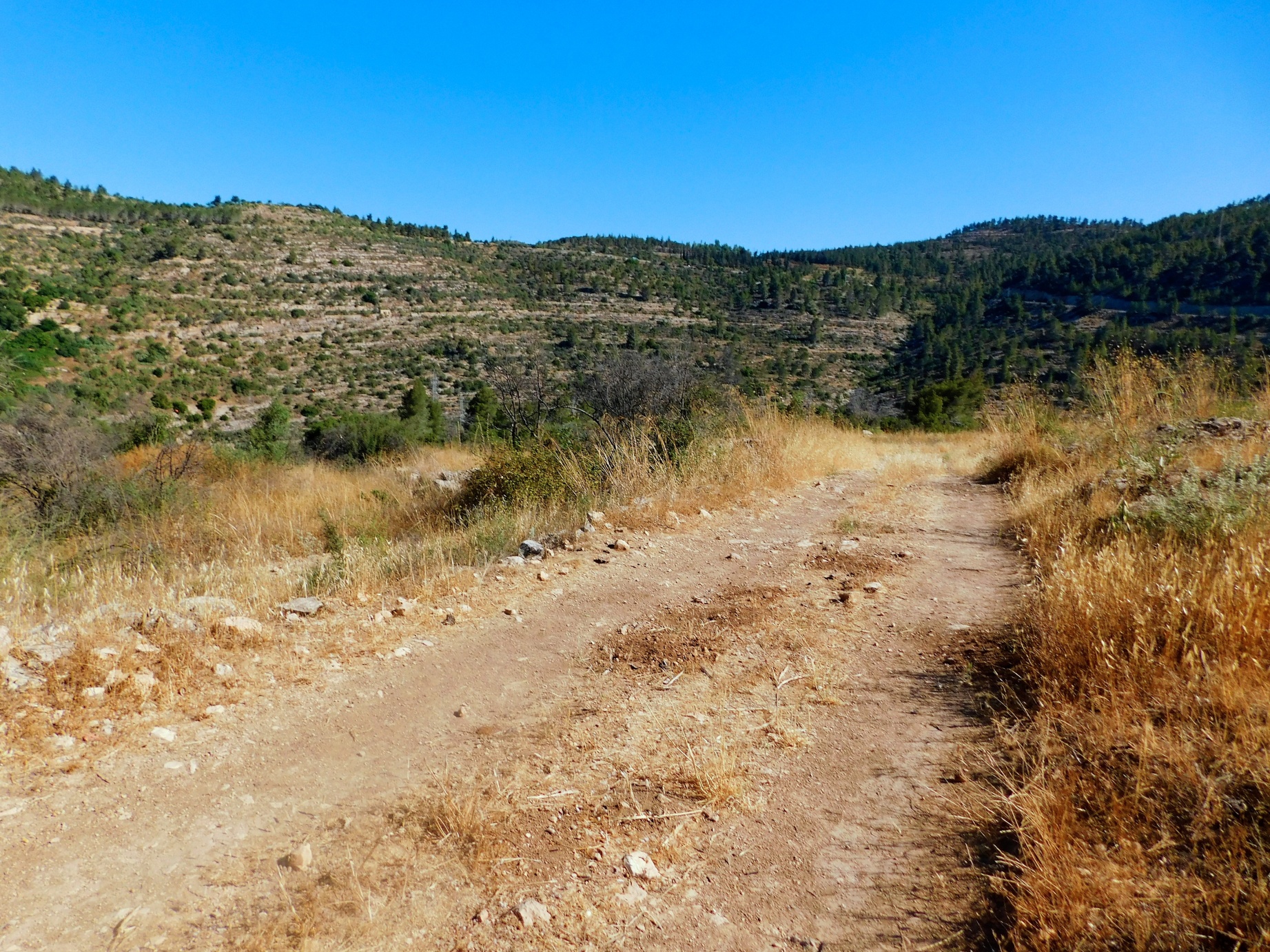02_St-John-Hermitage-Judea-Mountains.jpg