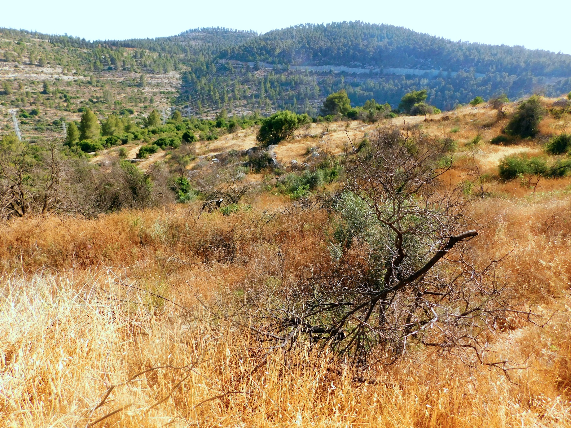 07_St-John-Hermitage-Judea-Mountains.jpg
