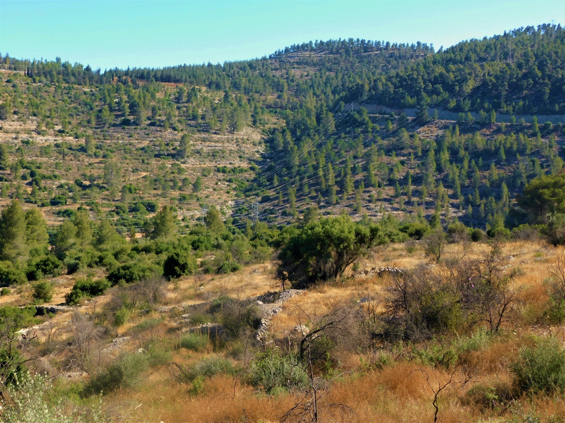 08_St-John-Hermitage-Judea-Mountains.jpg