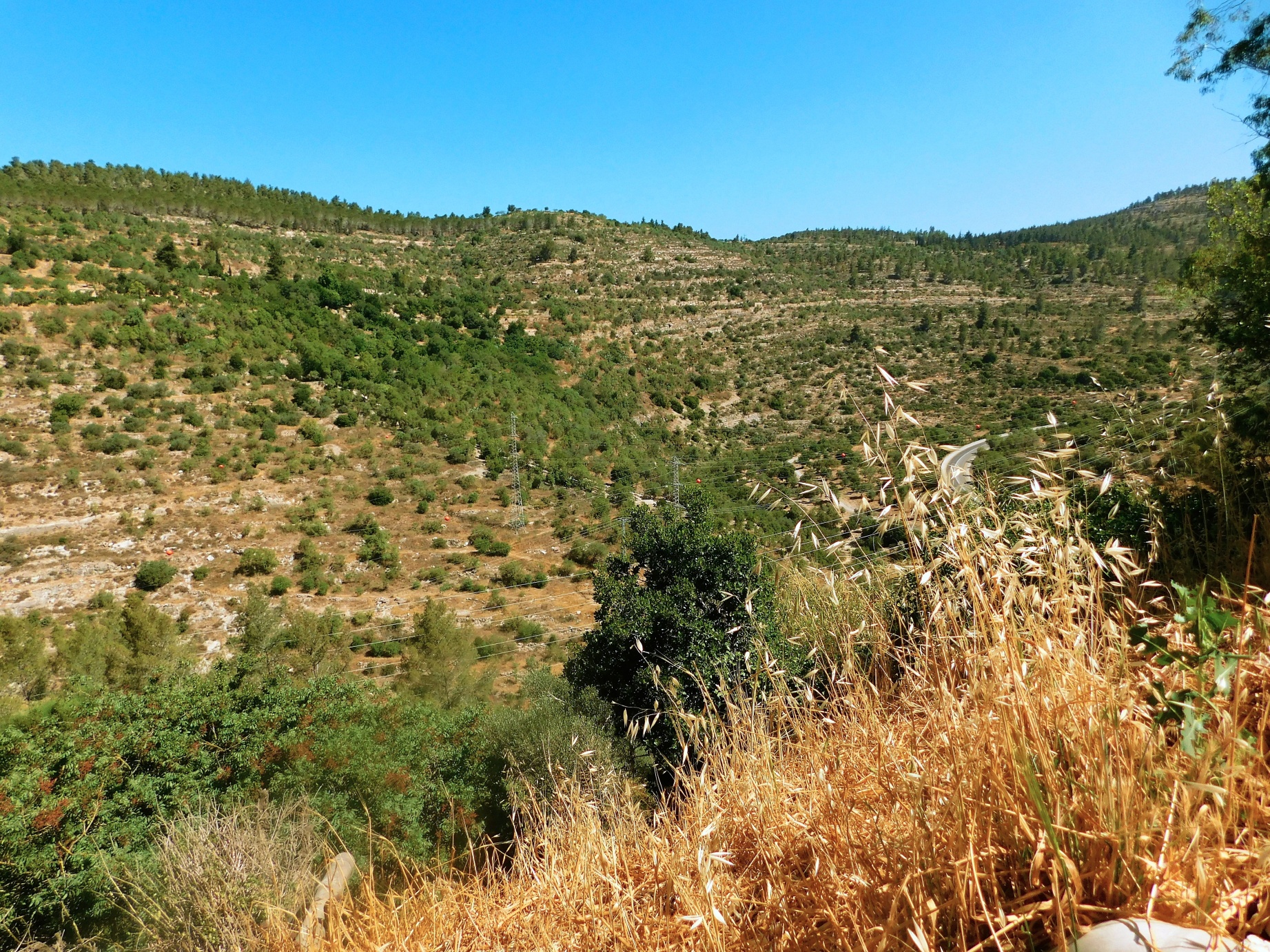 13_St-John-Hermitage-Judea-Mountains.jpg