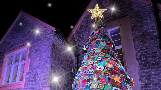 APPLEDORE CHRISTMAS TREE