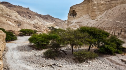From Nazareth to Bethlehem: The trying journey of Mary and Joseph