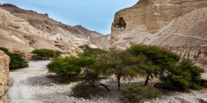 From Nazareth to Bethlehem: The trying journey of Mary and Joseph