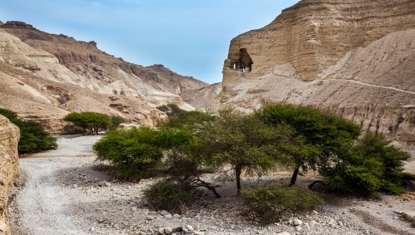 JUDEAN DESERT