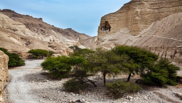 JUDEAN DESERT