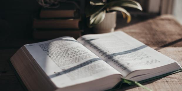 What is the last book of the bible called 