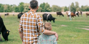 Want to be a homesteader? This Catholic dad will teach you how