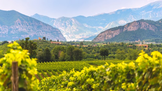 FRANCIACORTA