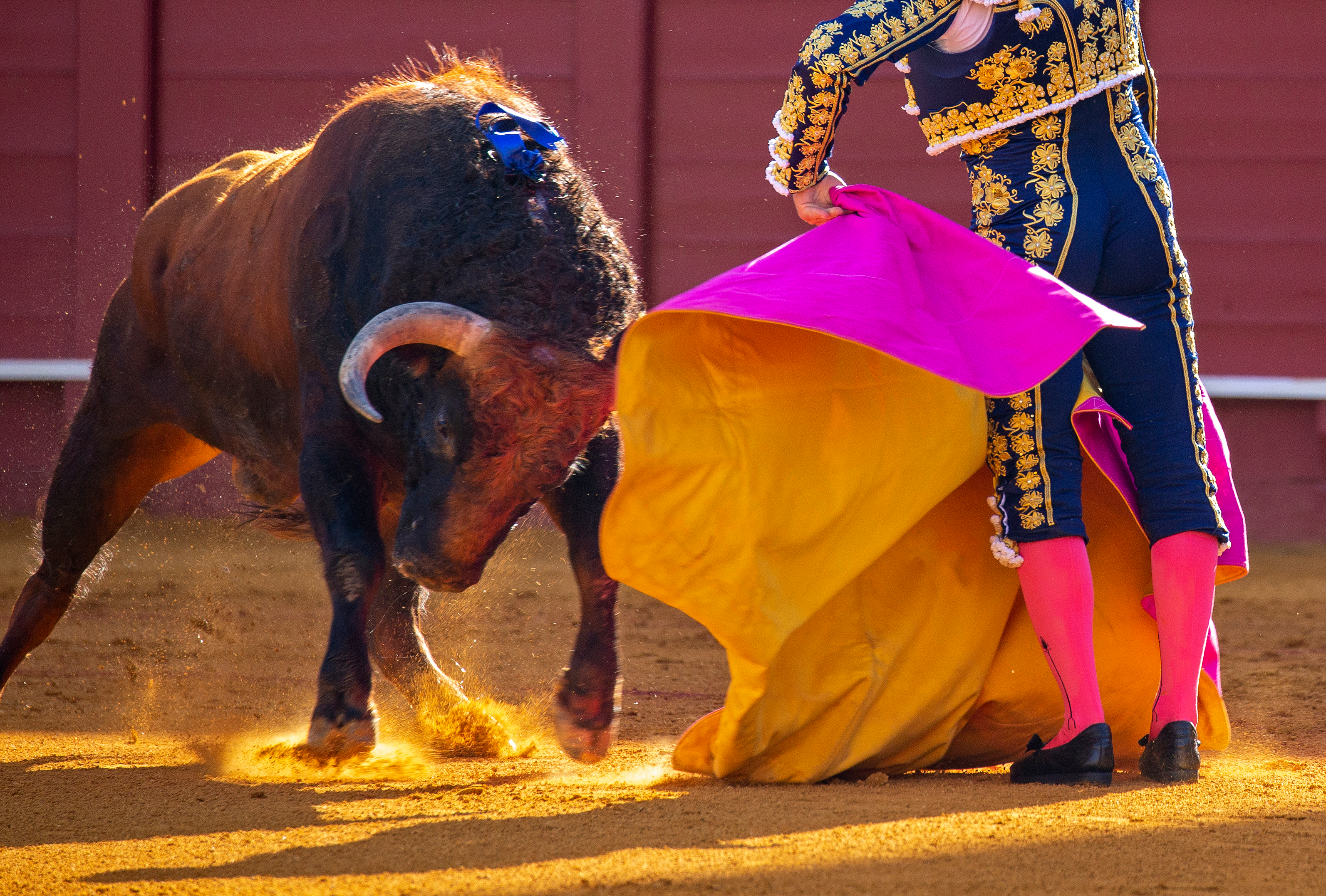 Catholic charity calls for an end to bullfighting