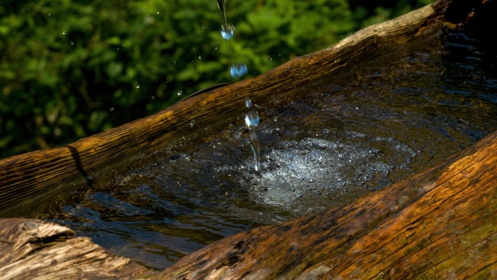 wooden trough