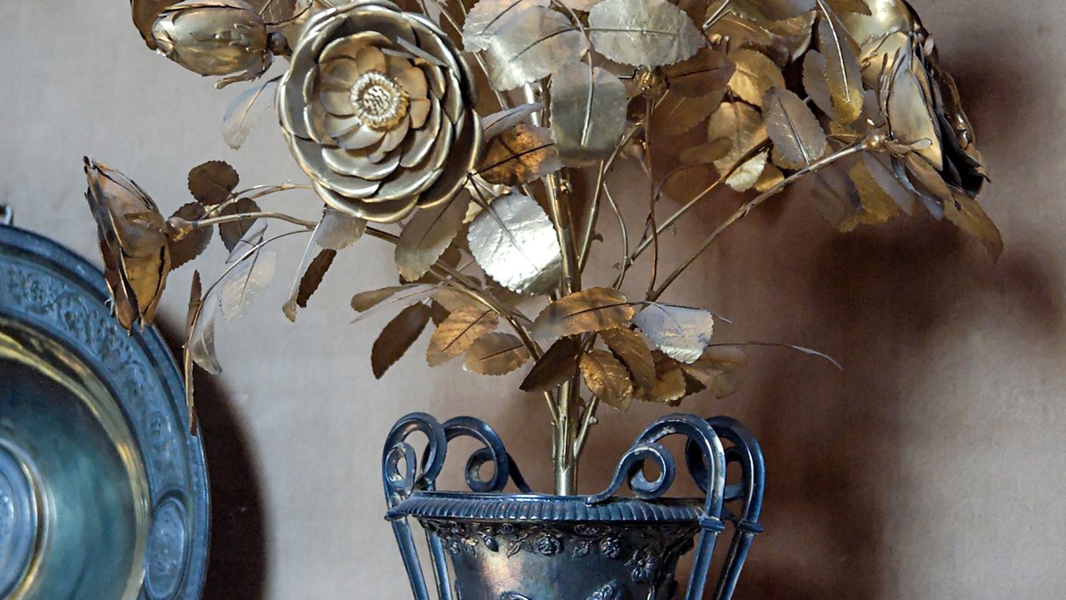 GOLDEN ROSE