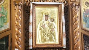 Zarvancy icon
