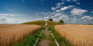 Dialogue is possible: Pope welcomes grain leaving Ukraine as sign of hope