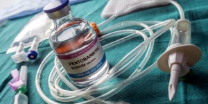 In Belgium, Catholics propose alternatives to euthanasia