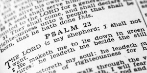 Discover your personal Bible verse for Lent