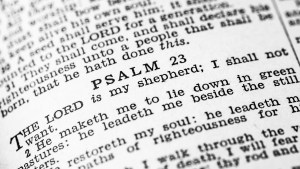 BIBLE PSALM