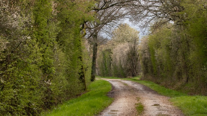 BOCAGE OF NORTHERN FRANCE