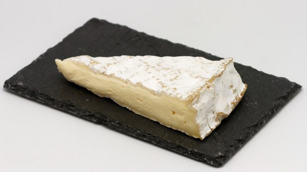 BRIE