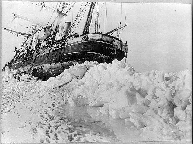 SHACKLETON;ENDURANCE