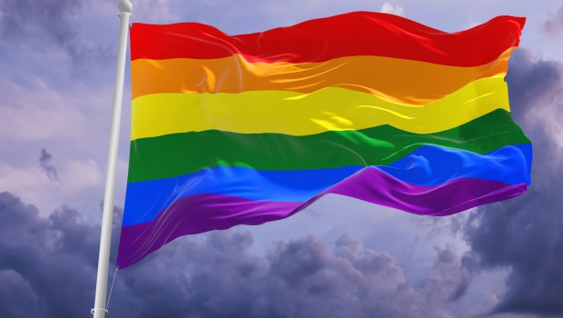 HOMOSEXUALITY