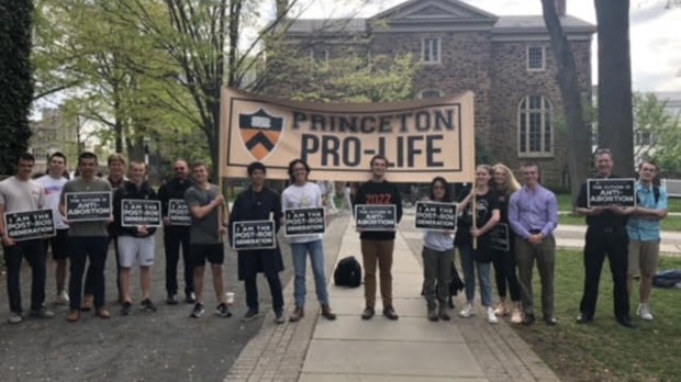 PRINCETON PROLIFE