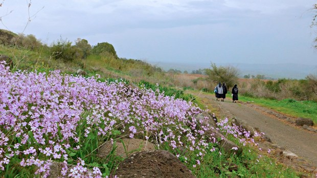 Jesus-Trail-at-the-Sea-of-Galilee-9_PhotoCredit-Sr-Amata-CSFN.jpg