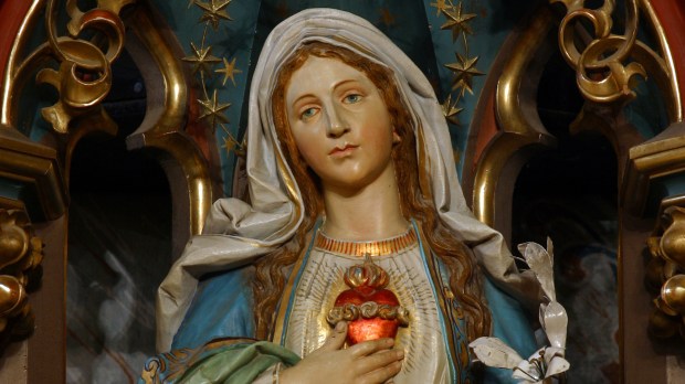 What is the Sacred Heart of Mary?