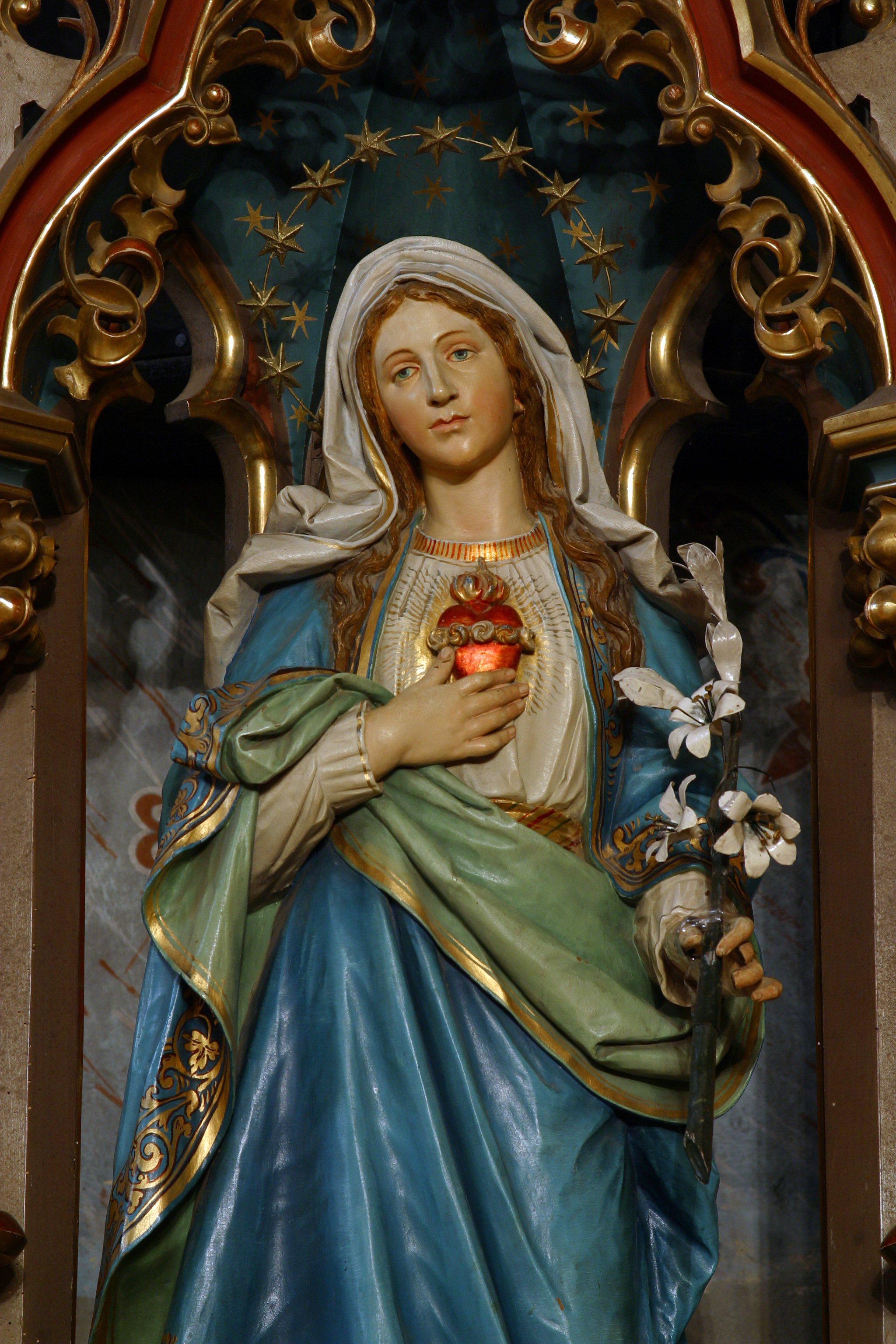 What is the Sacred Heart of Mary?