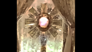 WEB3-POSSIBLE-EUCHARISTIC-MIRACLE-MEXICO-ADORATION-BEATING-HEART-YOUTUBE-MOTHER-REFUGE-OF-THE-END-TIMES-FAIR-USE.png
