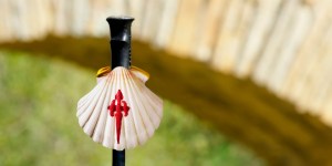 Truth and life on the Way: We are all pilgrims, sometimes despite ourselves