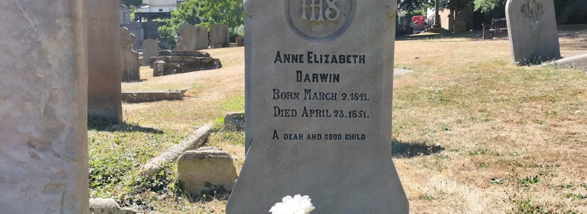 ANNE ELIZABETH DARWIN