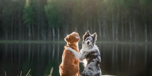 6 Ways to find Godly friendships