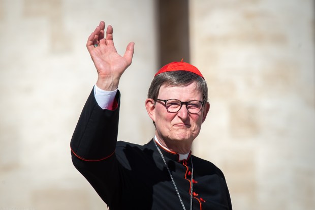 His Eminence Rainer Maria Woelki Cardinal Archbishop of Cologne