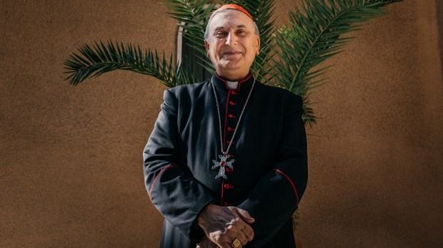 cardinal zenari