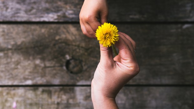 parent and child with flower