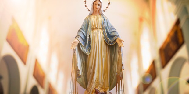 9 Beautiful ways to draw closer to Mary in the month of May - Vimarsana News