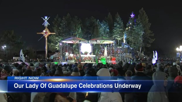 Des Plaines Illinois Our lady of Guadalupe pilgrimage
