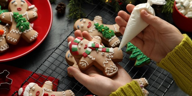 Budget-friendly Christmas season activities for dads and kids - Vimarsana News