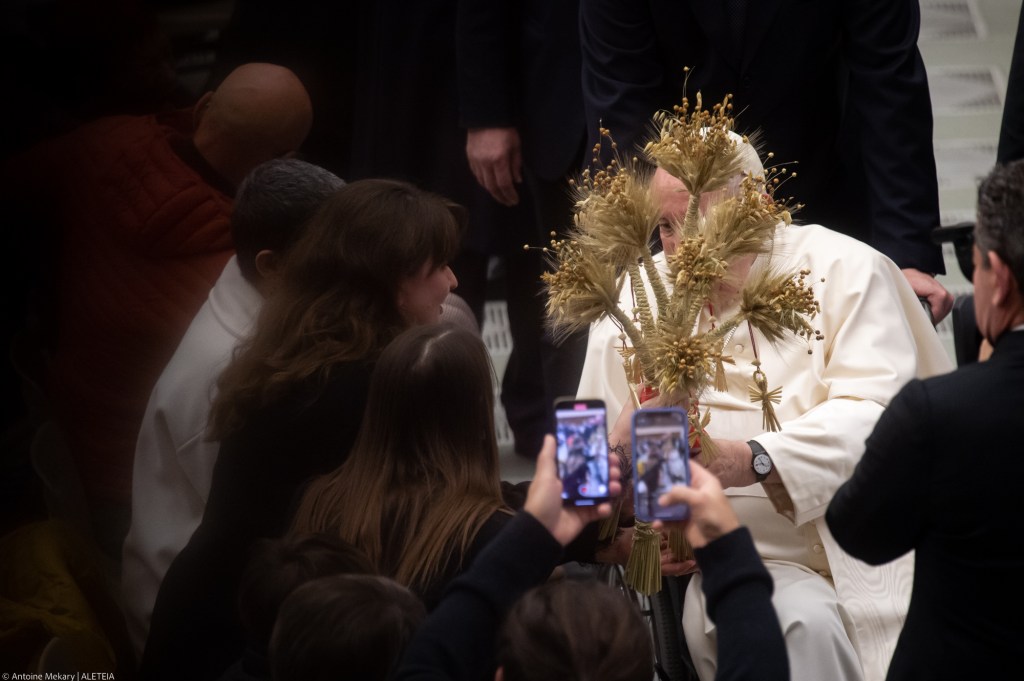 Pope Francis during his weekly general audience in Paul VI Hall