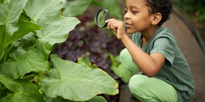 Finnish study shows one significant way to improve children&#8217;s health
