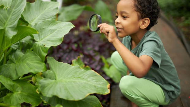 young boy examining plant outdoors with magnifying glass