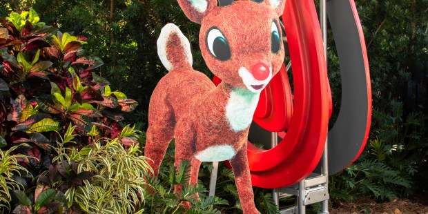 The bittersweet origin of Rudolph's red nose - Vimarsana News