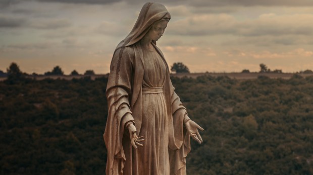 Mary statue field snake granite forest