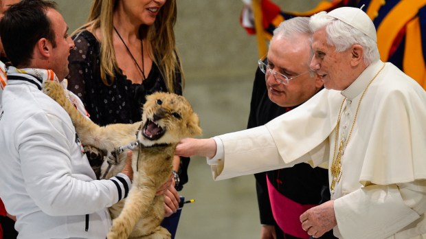 Pope-Benedict-XVI-caresses-a-lion-AFP